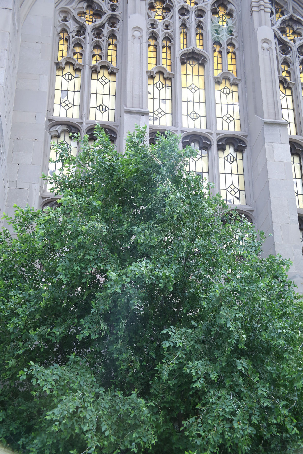 Faces_2017GaryPreservationTour_2108.JPG